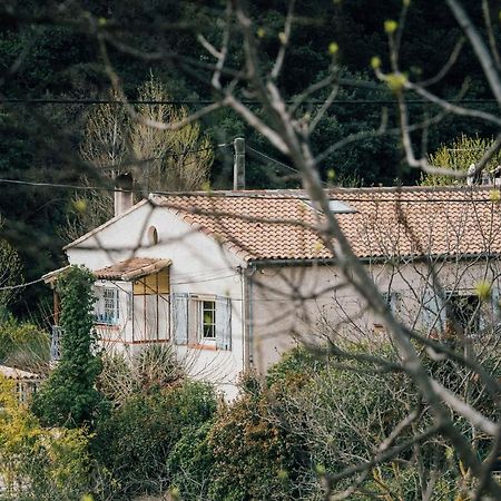 Maison D'Hotes Eco-Responsable Avec Piscine 6X12M Châteaudouble 外观 照片