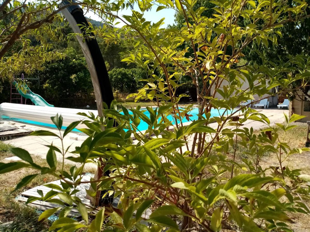 Maison D'Hotes Eco-Responsable Avec Piscine 6X12M Châteaudouble 外观 照片