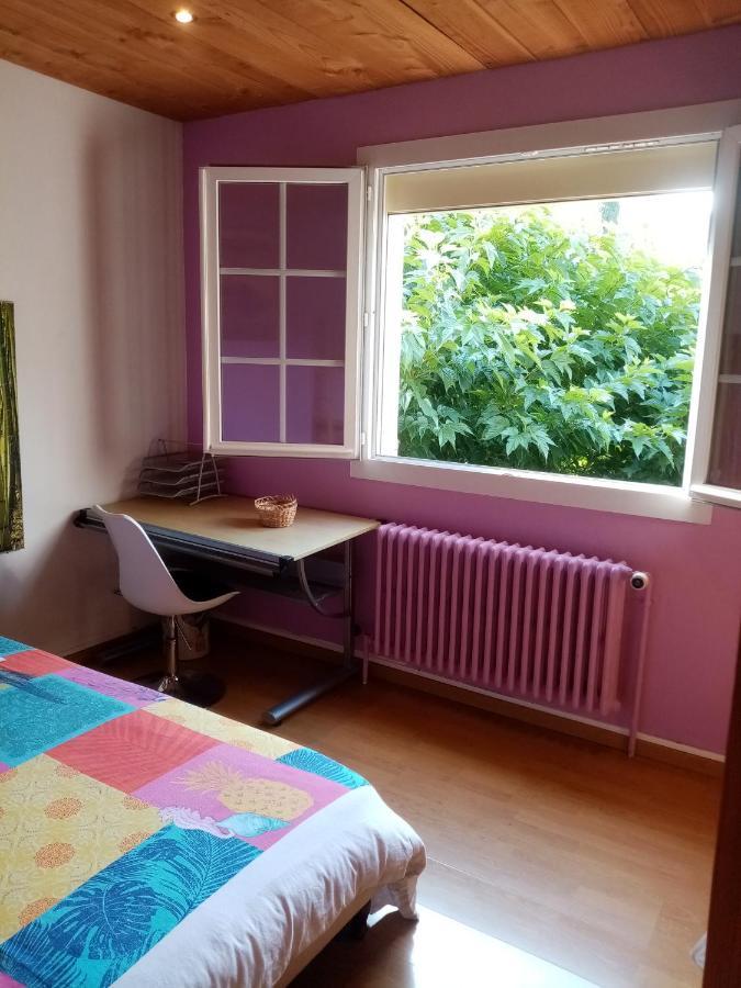 Maison D'Hotes Eco-Responsable Avec Piscine 6X12M Châteaudouble 外观 照片